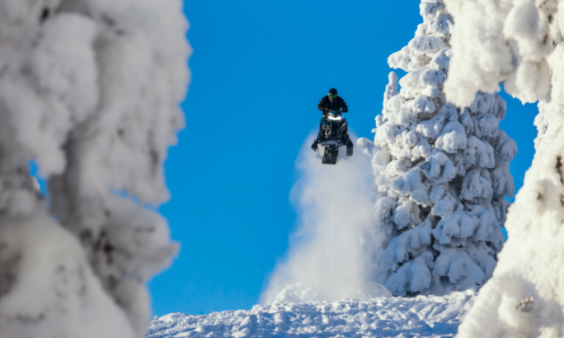 A snowmobiler gets massive air near a tall tree.