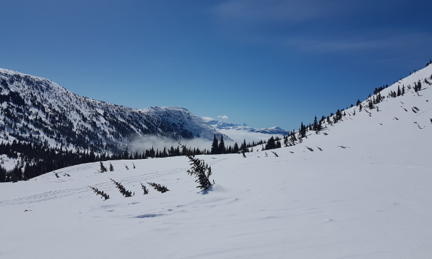 Tumbler Ridge, B.C., offers sledders plenty of opportunities to hill climb.