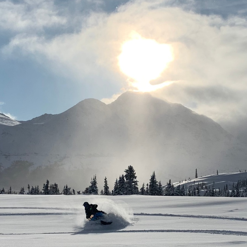 A snowmobiler cuts through snow in a glad as the sun shines above the mountains in the distance. 