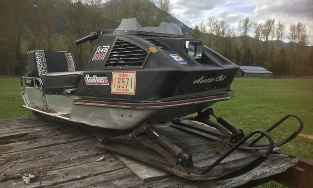 This vintage wildcat, an Arctic Cat Panther, was found on display in a local farmer's field - part of an estate sale. 