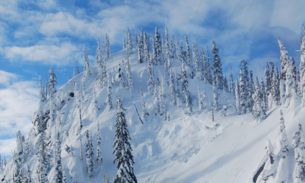 The Gazex exploder allows the Ministry of Transportation to perform avalanche control 24/7 via a computer and a radio link.