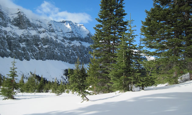 View looking north of the North Cabin in an area called Deans Park