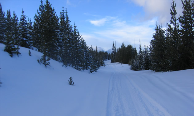 Trail through Spoon Valley