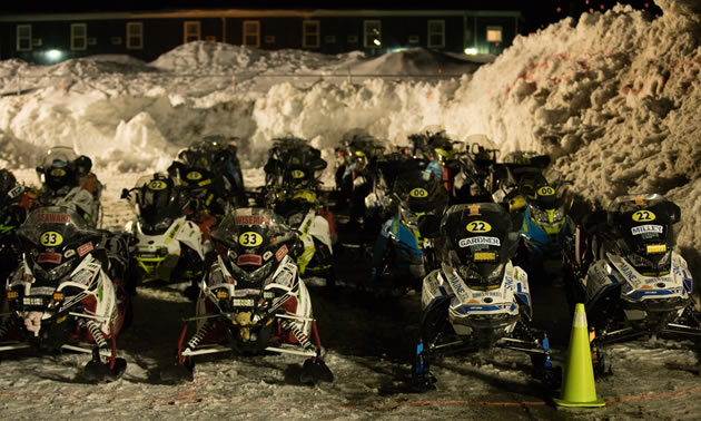 Sleds in bed for mandatory rest period.
