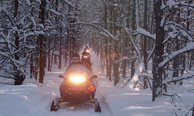 Jerry Bidulock has worked closely with sledders, clubs, local and provincial government,  and Trans Canada Trail since the early ’70s.