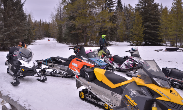 Snowmobiles on a trial