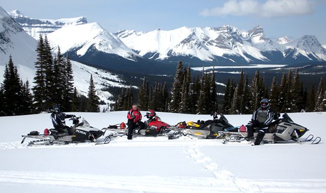 Four sleds and three riders pose in a row against a background of majestic blue snowcapped mountains and evergreen trees.
