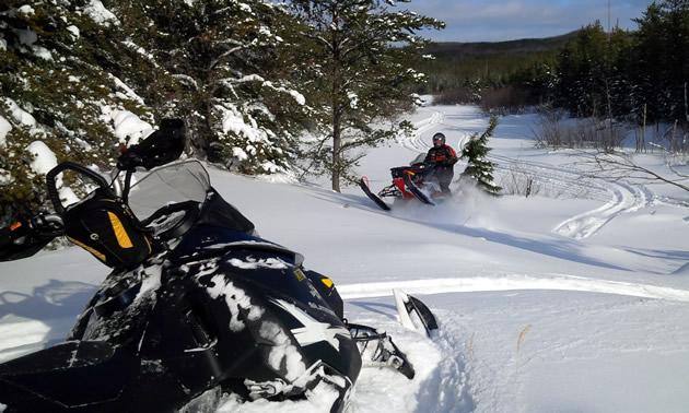 Marcel Dalpe shreds his Ski-Doo through a clearing near Hudson Bay, Saskatchewan.