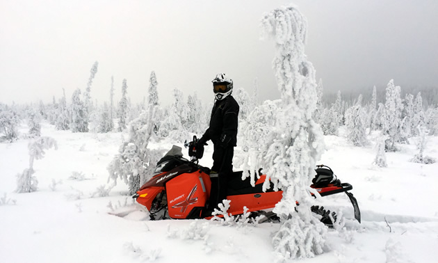 A snowmobiler standing on his ride next to a snowy tree in Wildcat Hill Provincial Park near Hudson Bay, Saskatchewan. 