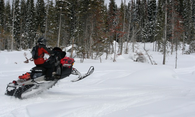Man on a snowmobile in snow