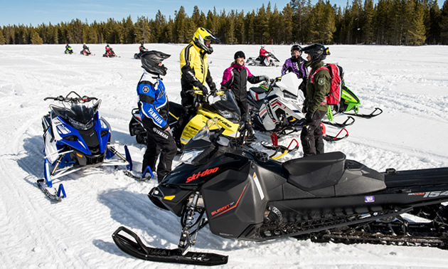 Group of snowmobilers. 