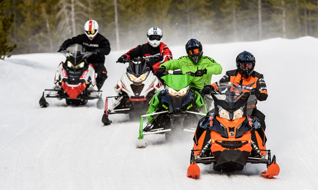 Group of snowmobilers on trail. 