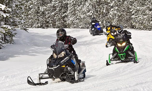 People snowmobiling on trail. 