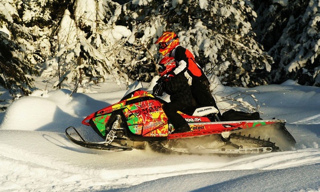 Author Trish Drinkle with her son Sage.  Trish is on a sled, Sage is standing next to her watching and listenting to instructions. 