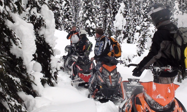 Group of snowmobilers
