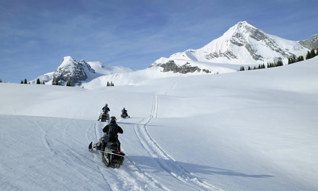 Picture of snowmobilers. 