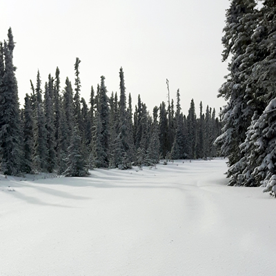 Snowmobiling trails in Swan Hills, Alberta.