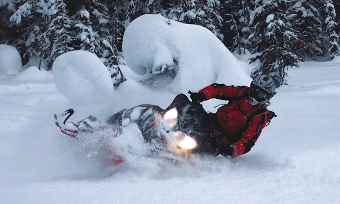 People riding sleds down a wooded trail