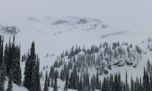 A mountain rider’s paradise can be found in Tulameen, B.C.