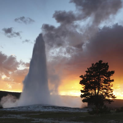 Yellowstone Park at sunset with geyser. 