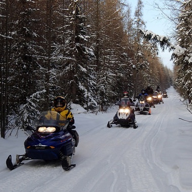 A line of riders from the Athabasca Rier Runners club, on the Grassy Lake trail. 