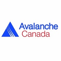 Avalanche Canada's new logo is part of a rebranding campaign that is kicking off the 2014-15 season.