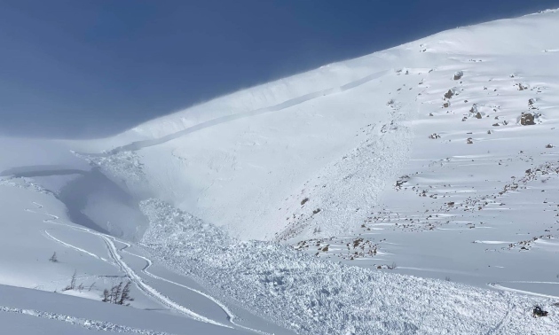 avalanche zone on a mountainside