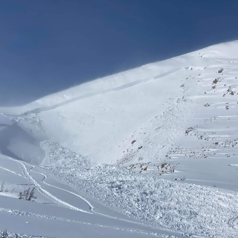 avalanche zone on a mountainside