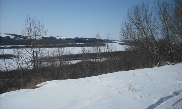 View of North Saskatchewan River at River View Chalet Trail 101B