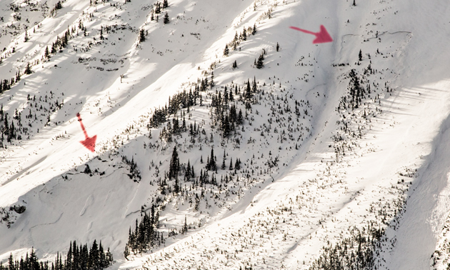 Looking at a slope that has avalanched. 