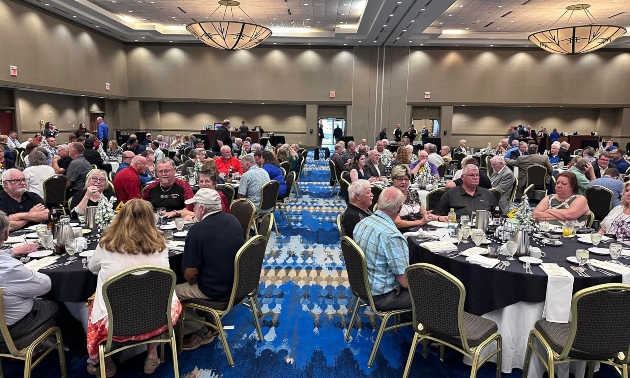 People seated at tables in a conference centre