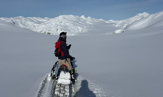 Craig McMorris on his sled looking back