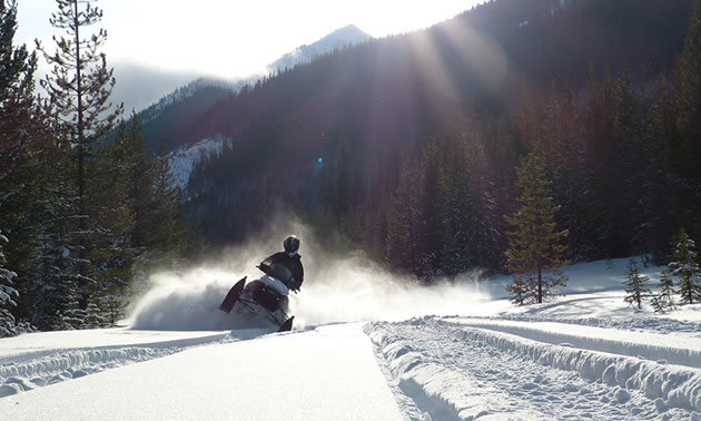 A snowmobiler in a black helmet on a black and white sled. 