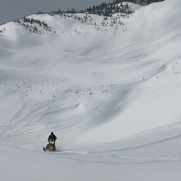 A sledder in the middle of an enormous bowl in the Crowsnest Pass. 