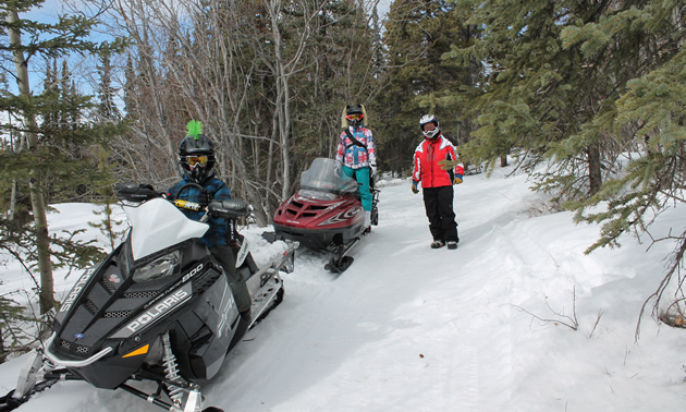 A father and his family riding snowmobiles on a trail. 