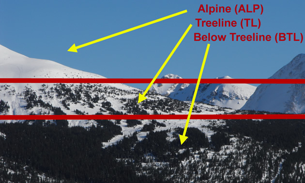 Examples of alpine, treeline and below treeline from an actual photo. 