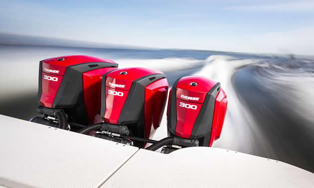 New Evinrude BRP