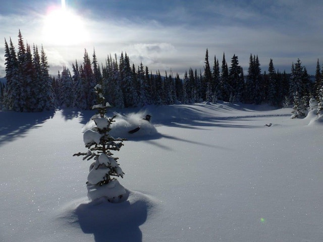 Leaning hard carving through some fresh powder outside of Grande Prairie