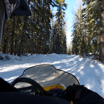 Looking over a sledder's shoulder at the trail going through heavily wooded forest. 