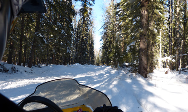 Looking over a sledder's shoulder at the trail going through heavily wooded forest. 