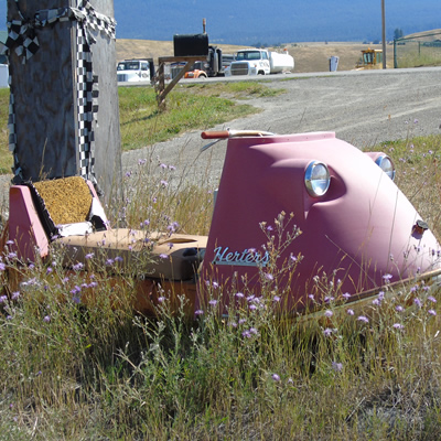 Picture of vintage Herters snowmobile sitting in tall grass. 