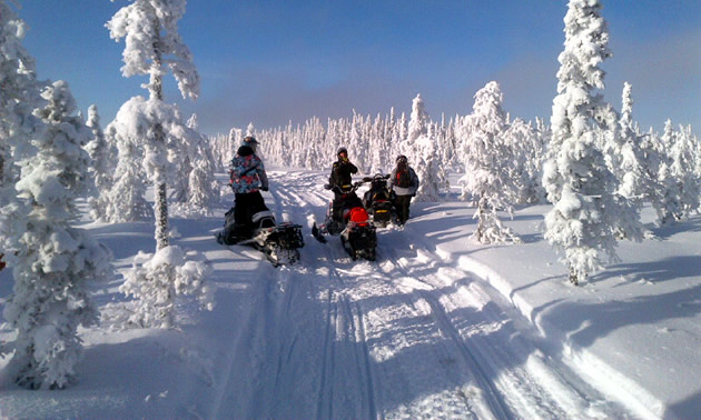 Three snowmobilers stopped on a very snowy trail in Hudson Bay. 