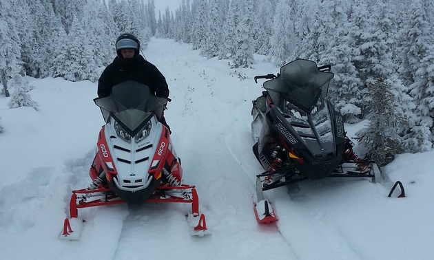 two snowmobilers on a trail