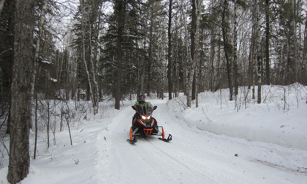 Club member Carl Palke riding the Greenbush trails. Part of the Hudson Bay trails wind through the forest. 
