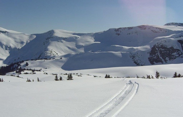 Fresh tracks on a gorgeous bluebird day in the Kakwa Wildland Park. 