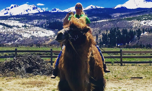 Kim Onasch on her camel. 