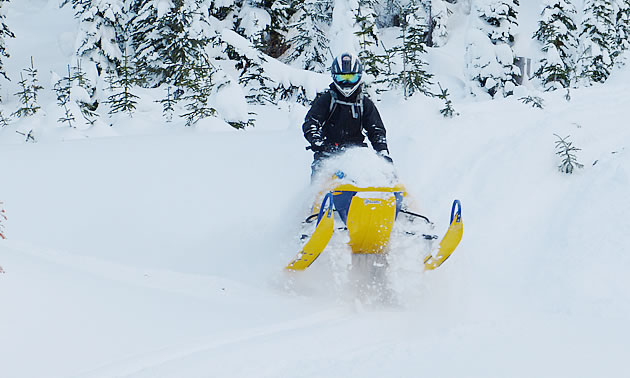 A person in black helmet and jacket on a blue and yellow Ski-Doo snowmobile. 