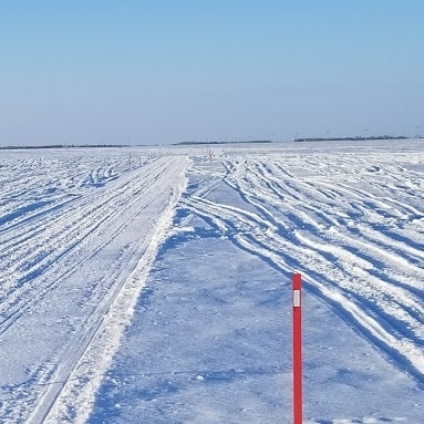 Shown is a snowy Saskatchewan field with snowmobile tracks crisscrossing through it.