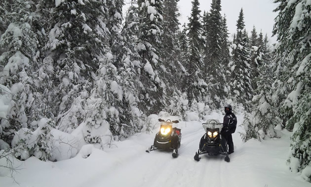 A snowmobile trail north of Hudson Bay 