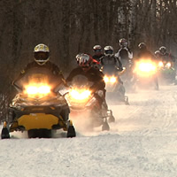 Ten snowmobilers coming up a trail in the woods. 